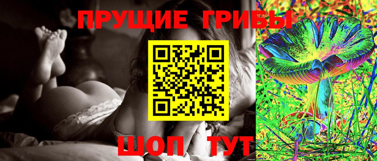 Псилоцибиновые грибы мицелий  Вход с VPN  Зима 