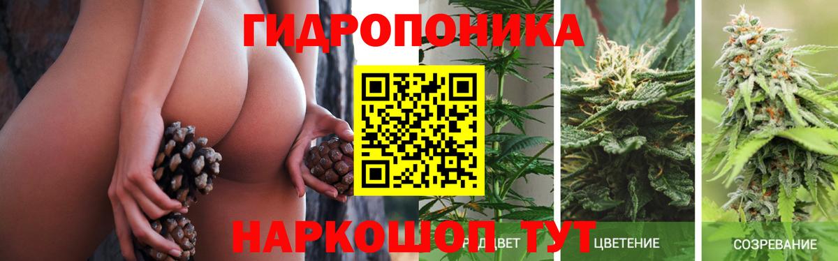 Каннабис MAZAR  Шишки марихуана MAZAR  Вход с VPN  Зима  Каннабис марихуана 